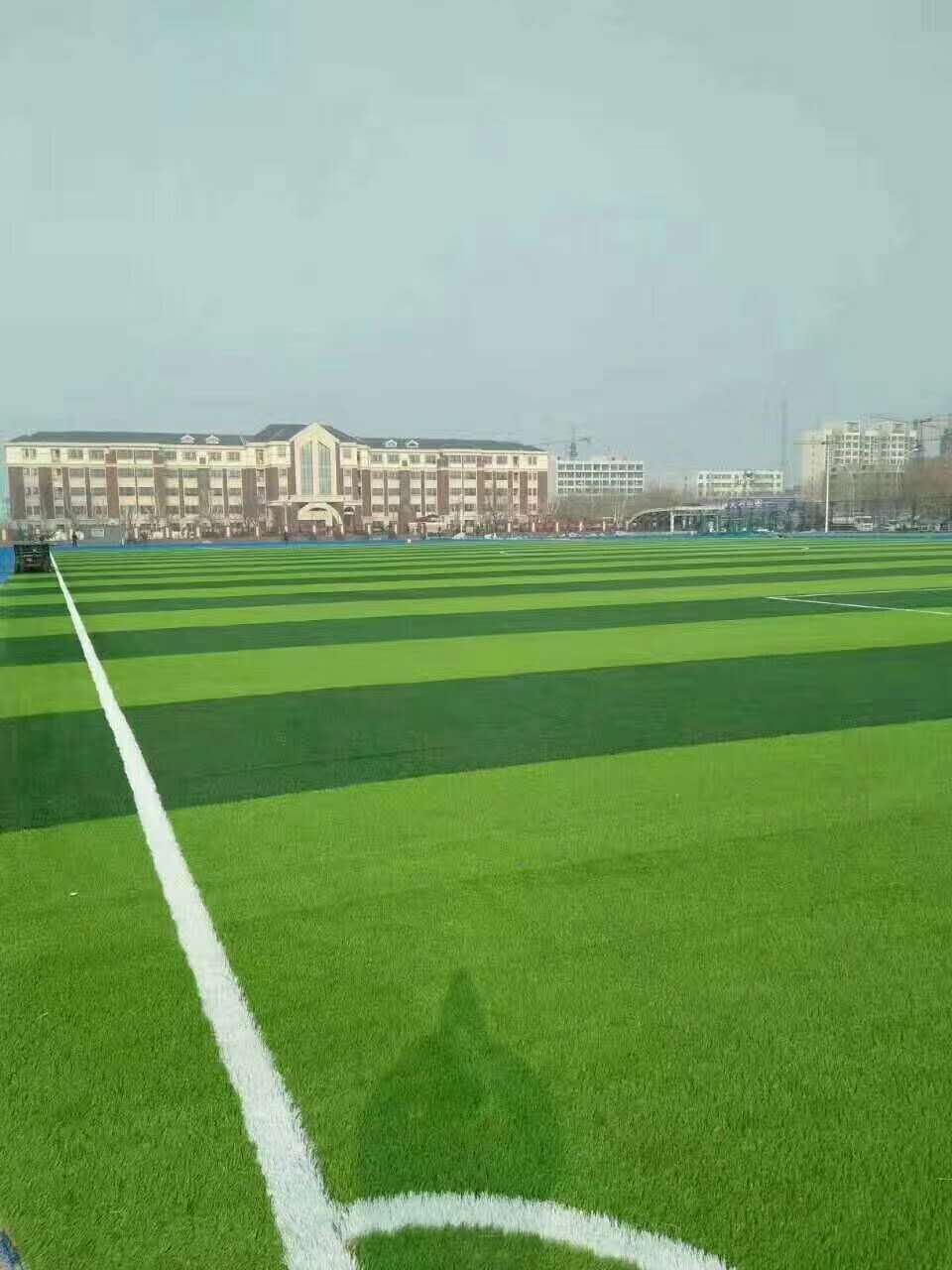 牡丹江市塑胶跑道仿真草坪 - 方案